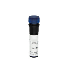 (55-803XB) CD3 iFluor™ 700 Antibody Clone OKT3, Mouse IgG2a,k 100 Tests/Unit