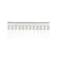(11-643P) Zymo-Seq UDI Primer Set (Indexes 1-12) 1 Set/Unit