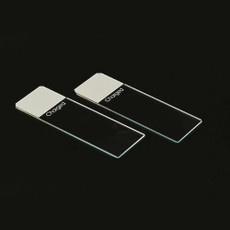 (29-108) Charged Slides, Beveled Adhesive, Beveled Edges 2 Boxes of 72 (1 Gross)/Unit