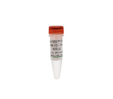 (11-340B) Quick-16S™ Primer Set V3-V4 400 µl 400ul/Unit