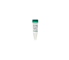 (11-442A) E. coli Non-Methylated Genomic Zymo Research 5 ug / 20 ul/Unit