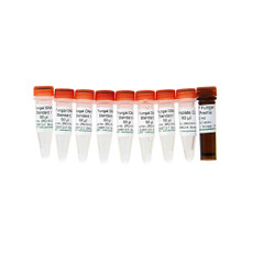 Zymo Research E2007 Zymo Research E2007 Femto Fungal DNA Quantification Kit, Zymo Research, 100 Rxns/Unit, Zymo Research, 100 Rxns/Unit Primary Image