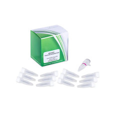 (13-022) MG1655 MG1655 Chemi Competent 12 x 50µl/Unit