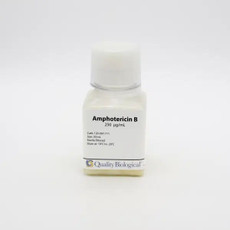 (25-832) Amphotericin B,  250µg/mL Antifungal agent 4 x 50 mL/Unit