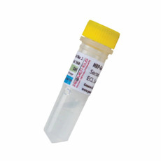 (20-307) Goat-anti-rat HRP Secondary antibody 500ul/Unit