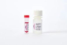 Apex Extract-Amp RED PCR Kit