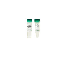 ZymoTaq™ PreMix