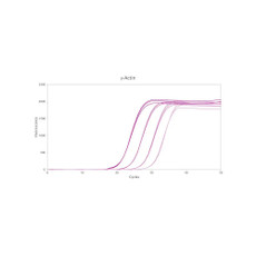 qPCRBIO SyGreen 1-Step Go Hi-ROX