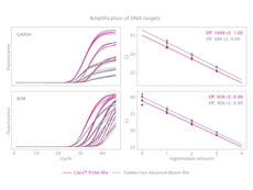 Clara™ Probe Mix Separate-ROX 