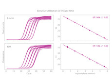 Clara™ Probe 1-Step Mix Lo-Rox