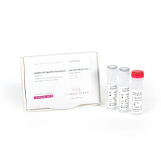 PCRBIO HS Taq DNA Polymerase