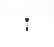 Zymo, M-Dissolving Buffer