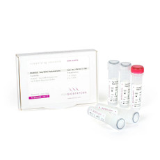 PCRBIO Taq DNA Polymerase