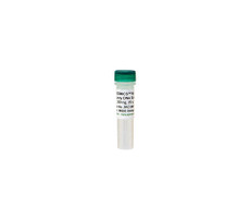 Microbial Community DNA Standard
