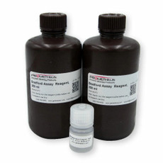 Bradford Protein Assay Kit with BSA Protein Standard
