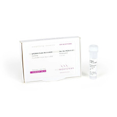 qPCRBIO Probe Mix Lo-ROX