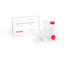 UltraScript® Reverse Transcriptase