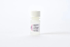 Apex DNA Extraction Solution