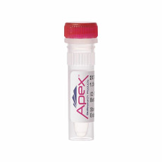 Apex 2X Taq Master Mix, Clear, 1.5mM MgCl2 (Final Conc.)