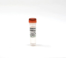 Zymo, M-Reaction Buffer