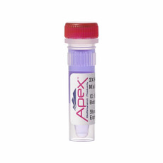 Apex Hot Start Taq BLUE Master Mix, 2X, 1.5mM MgCl2 (Final) w/ Buffer II