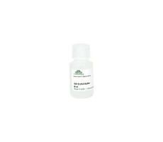 Zymo, 10X ELISA Buffer