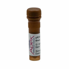 Apex GREEN qPCR Master Mix, 2X, Low ROX