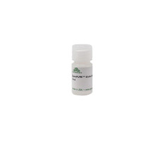 ZymoPURE Elution Buffer