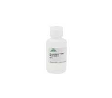 ZymoBIOMICS DNA Wash Buffer 2