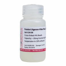 Protein G Agarose 4 FF Highly Cross-linked Beads, 4%