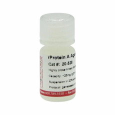 rProtein A Agarose Max Flow Highly Cross-linked Beads, 4%