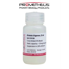 rProtein A Agarose CL-4B Cross-linked Beads, 4%
