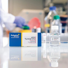 jetPEI® HTS DNA Transfection Reagent, with 150 mM NaCl Solution