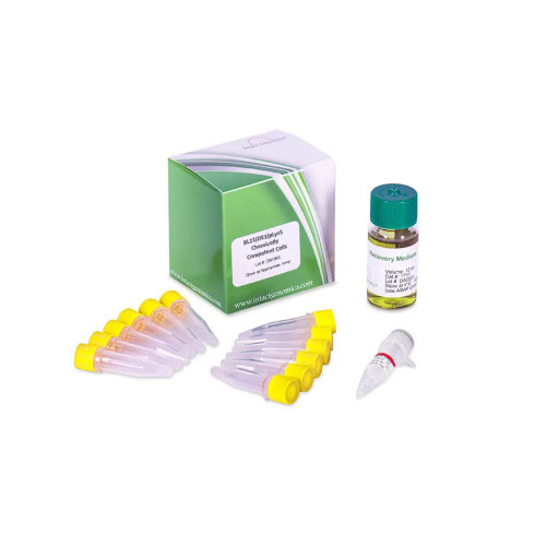 GENE高   専用出品 DNA Extraction Kit (Lab-Aid 896) | Zeesan Biotech