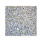 ProSci 7743 OLIG2 Antibody