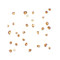 ProSci 7775 OASL Antibody
