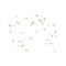 ProSci 7783 PROM1 Antibody