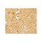 ProSci 7797 CRH Antibody