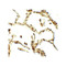 ProSci 7931 BAMBI Antibody