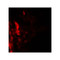 ProSci 7937 DAF Antibody