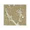 ProSci 8083 SLC1A7 Antibody