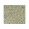 ProSci 8097 MALT1 Antibody
