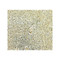 ProSci 8117 IKZF2 Antibody