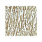 ProSci 8143 HOPX Antibody