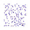 ProSci 8469 ALSFTD Antibody