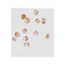 ProSci 2215 Acinus Antibody