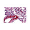 ProSci 3193 CARMA3 Antibody