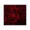 ProSci 3305 ARMER Antibody