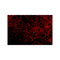 ProSci 3363 ST2 Antibody