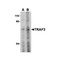 ProSci 3601 TRAF3 Antibody